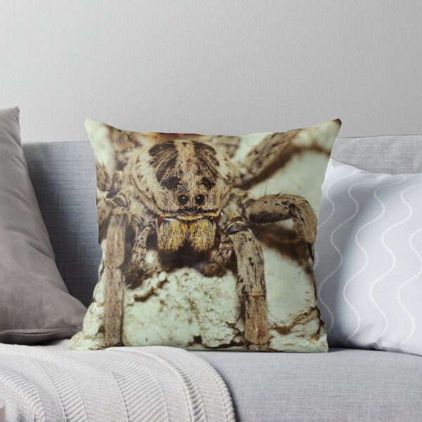 Item preview, Close-up of Tarantula Wolf-spider designed and sold by Michal Cerny.