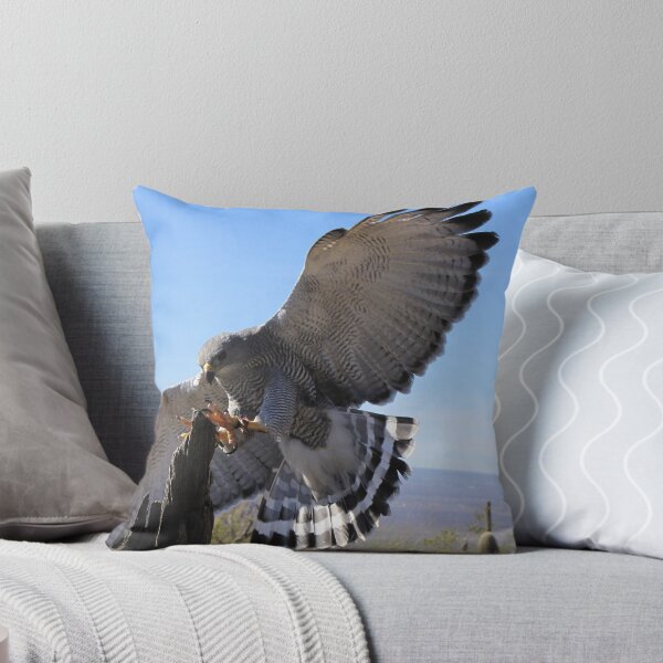 Item preview, Gray Hawk ~ Brake Check! designed and sold by Luck of the Shutter.