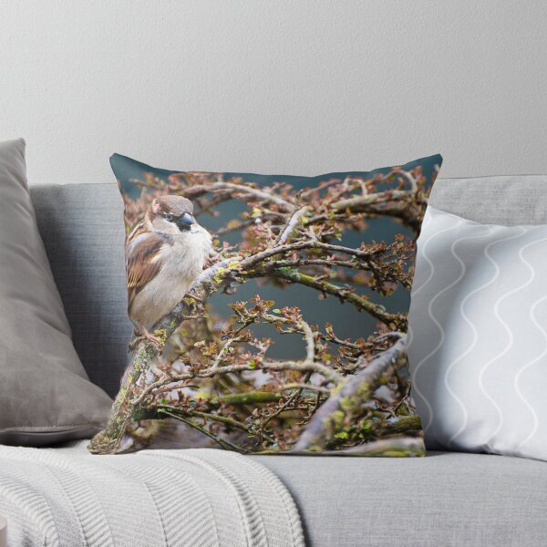 Item preview, Sparrow designed and sold by CJTill.