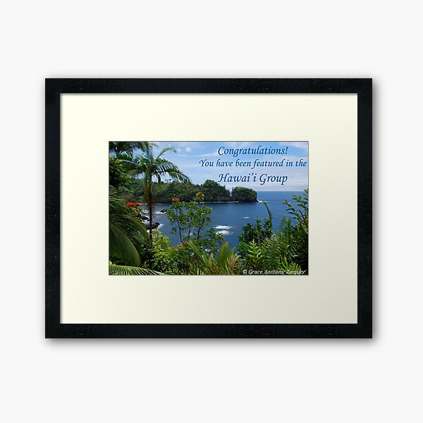 Hawai'i Group Feature Banner Framed Art Print