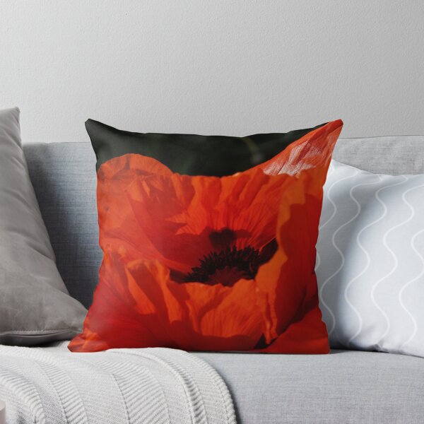 Aperçu de l'œuvre Glory of Poppy - Quakertown, PA créée et vendue par Anna Lisa Yoder.