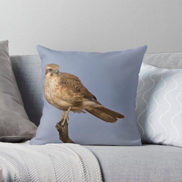 Brown Falcon - Winton Throw Pillow