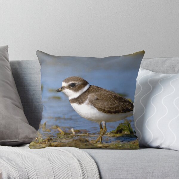Artikelvorschau, Semi-palmated Plover entworfen und verkauft von Heather Pickard.