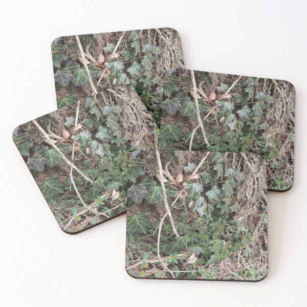 Item preview, Tree-climbing Ivy designed and sold by MooseDogPhotos.