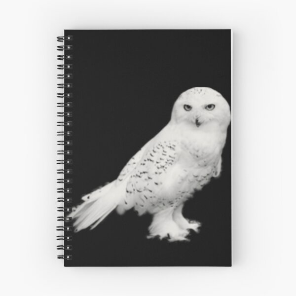 Item preview, Snow Owl designed and sold by Melissa Park.