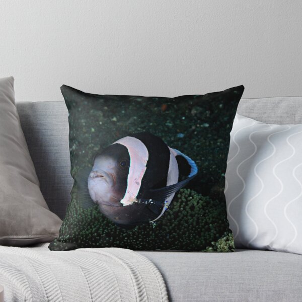 Item preview, Panda Anemonefish with Cleaner shrimp designed and sold by Aziz Tufan Saltik.