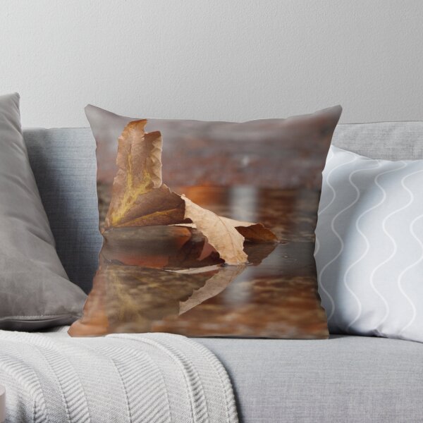 After the Rain Throw Pillow