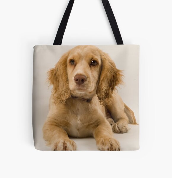 working cocker spaniel gifts