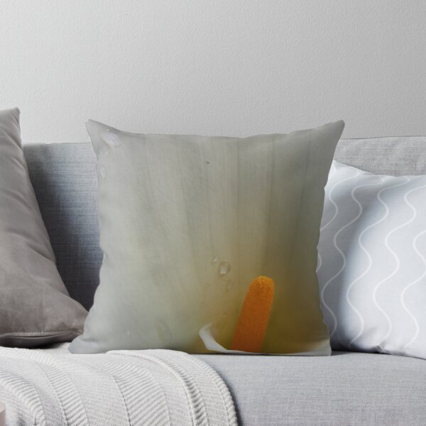 Aperçu de l'œuvre DON'T CRY CALLA créée et vendue par gracestout2007.