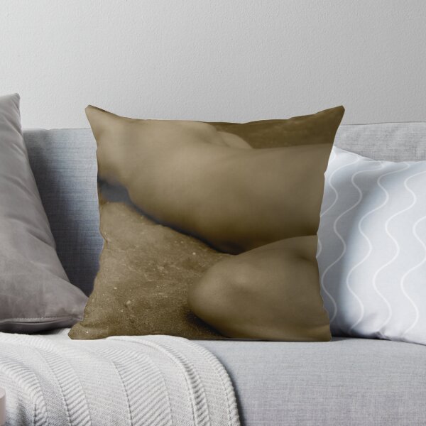 https://ih1.redbubble.net/image.798487736.9228/throwpillow,small,600x-bg,f8f8f8-c,0,120,600,600.u3.jpg