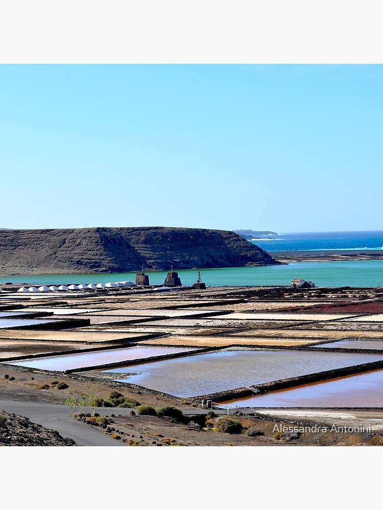 Thumbnail 4 of 4, Pillow, Morning on the salt flats of Janubio Lanzarote Canary Island designed and sold by alexcorse.