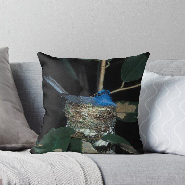 Item preview, Sri Lankan dusky blue flycatcher, Sri Lanka designed and sold by Michal Cerny.