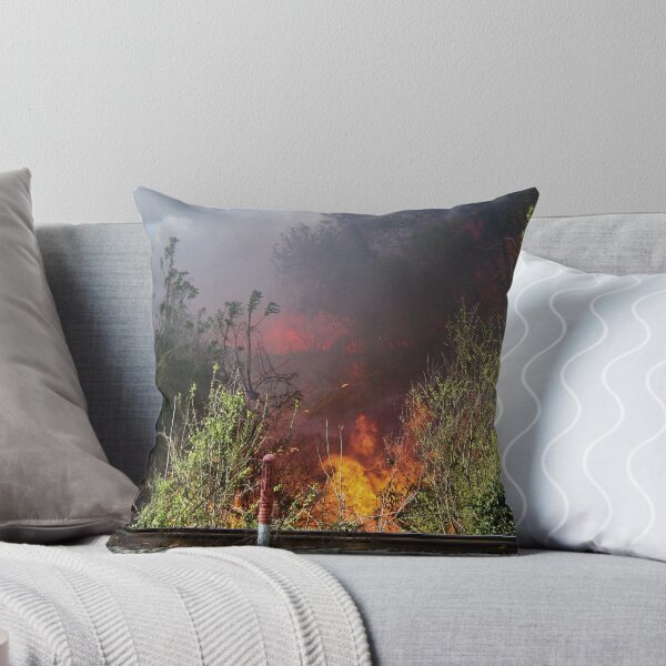 Aperçu de l'œuvre fire créée et vendue par Michael McCasland.