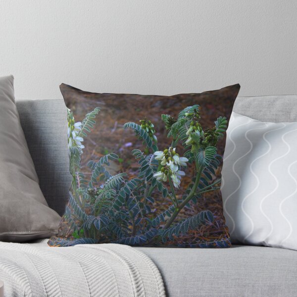 Item preview, Astragalus lusitanicus designed and sold by andrachne.