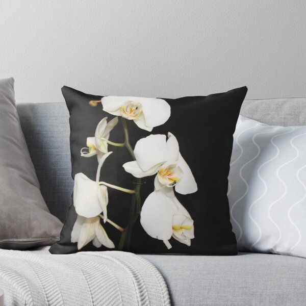 Artikelvorschau, Orchid - white. entworfen und verkauft von Roger Cummiskey.