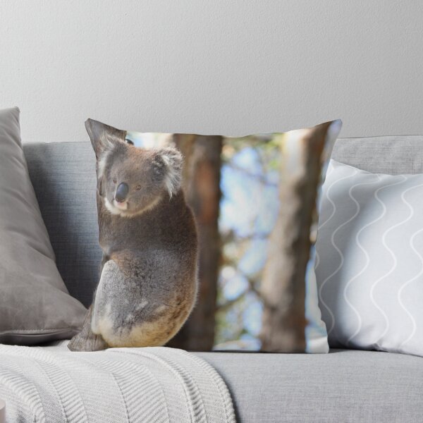 Item preview, Koala Hangin' Out designed and sold by Caroline Hannessen.