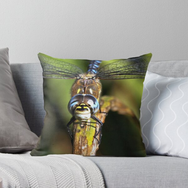 Artikelvorschau, Migrant Hawker 2 entworfen und verkauft von Rex Charlesworth.