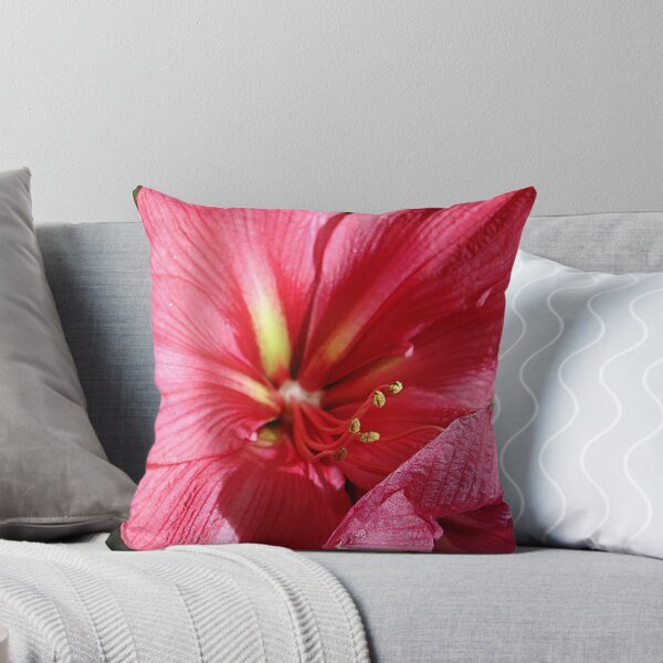 Item preview, Mauve Amaryllis designed and sold by Onehun.