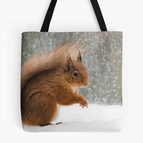 Item preview, Cheeky Red Squirrel designed and sold by Nigel Tinlin.