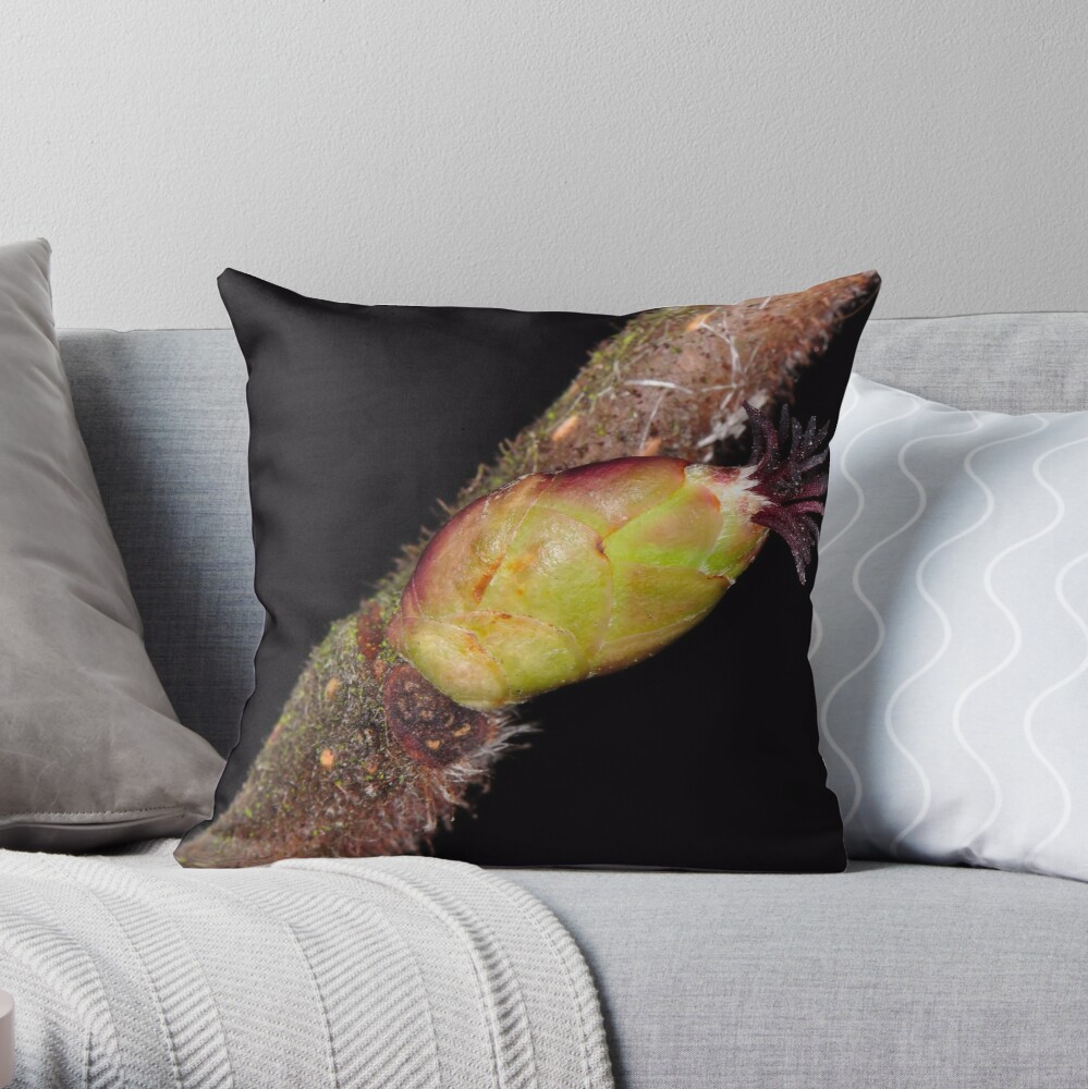 Item preview, Throw Pillow designed and sold by pauleden.