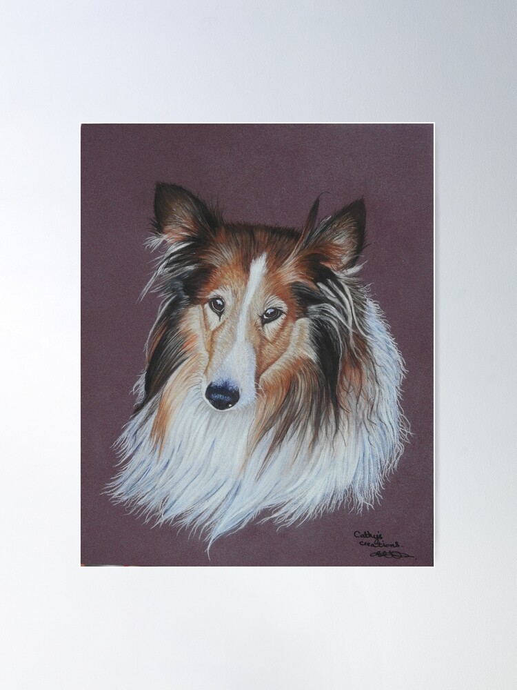 Lassie Collie – Big Furry Friends