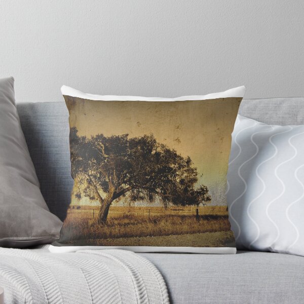 Item preview, Ti-tree (Melaleuca species), near Warooka S.A. designed and sold by Steph Ball.