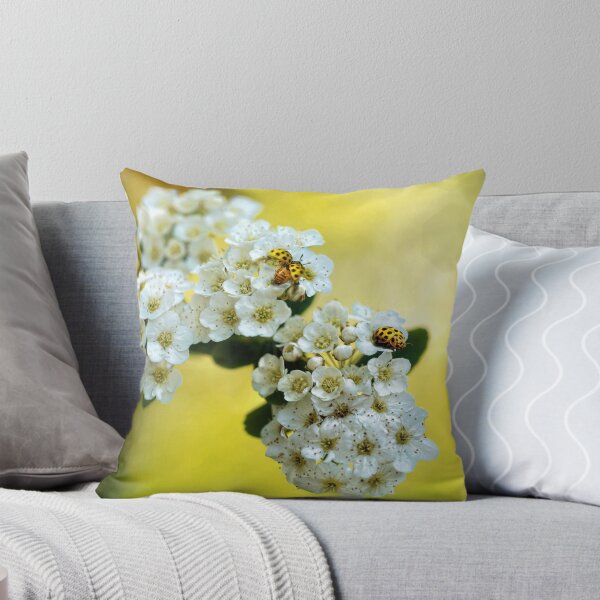 Item preview, Spring designed and sold by Lifeware.