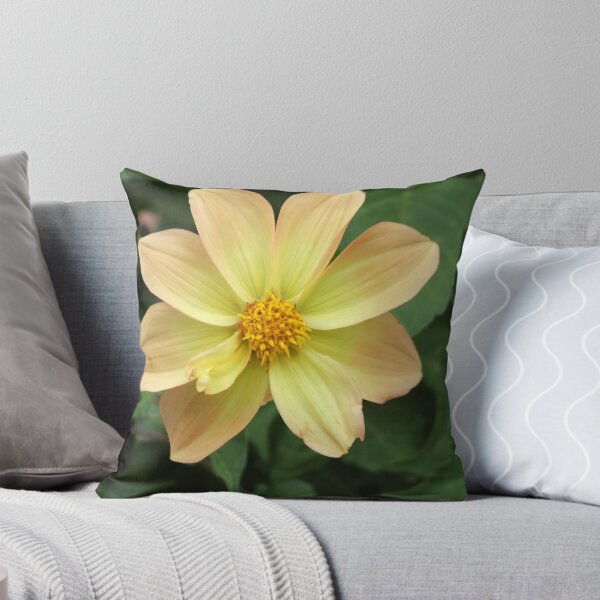 Item preview, Hello Sunshine - Christchurch, NZ designed and sold by BreeDanielle.