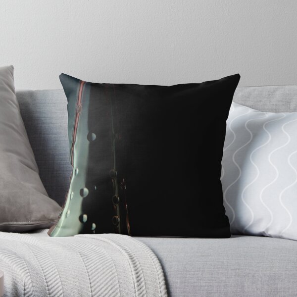 Ode to glass (2) Throw Pillow