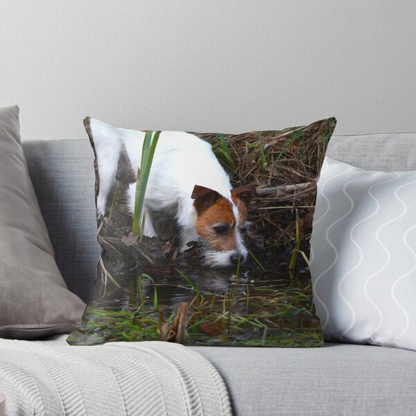 Item preview, Napoleon at the pond designed and sold by BrightBrownEyes.