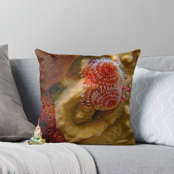 Item preview, Christmas Tree Worm Macro 3 designed and sold by Leon Heyns.