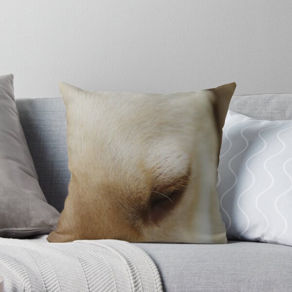 Item preview, A Moment Captured designed and sold by Trina King.