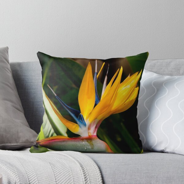 Item preview, Bird of Paradise designed and sold by Scott  Hafer.