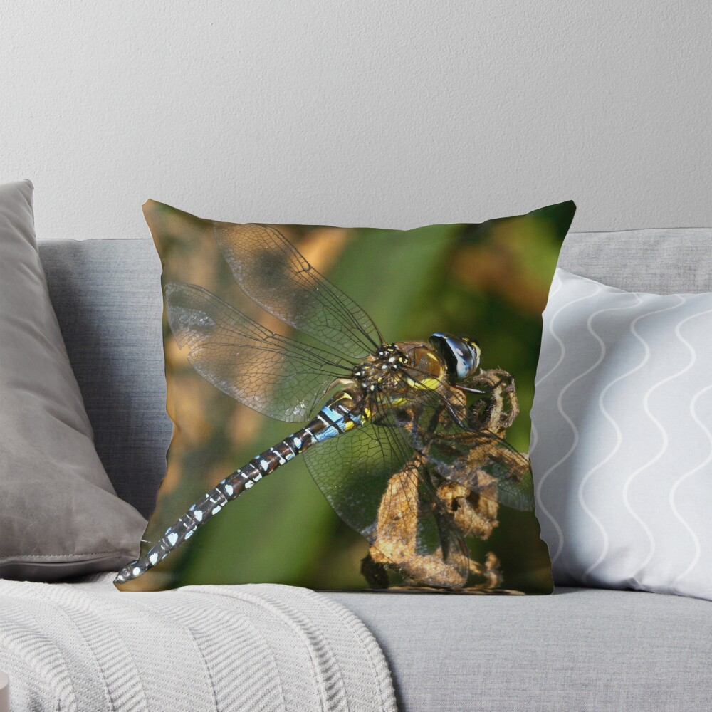 Item preview, Throw Pillow designed and sold by Rex Charlesworth.