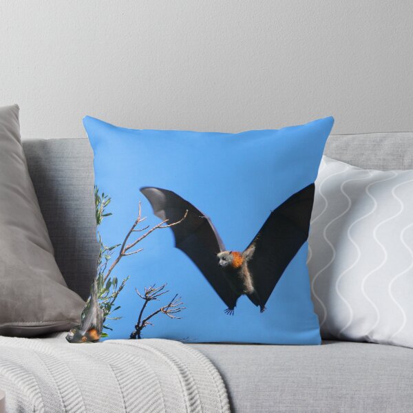 Item preview, Grey-headed Flying Fox designed and sold by naturalnomad.