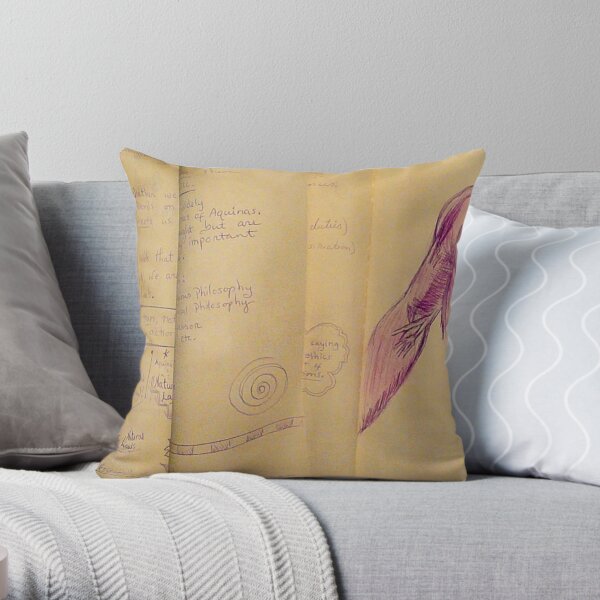 Philosophy Notes Throw Pillow