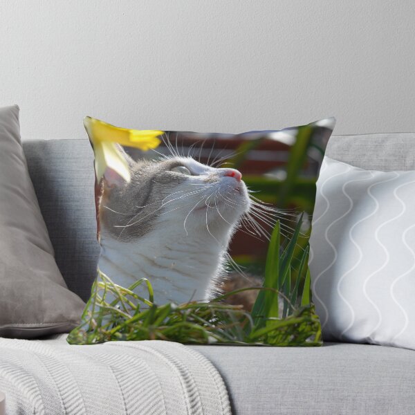 Item preview, Now where is the fly? designed and sold by vbk70.