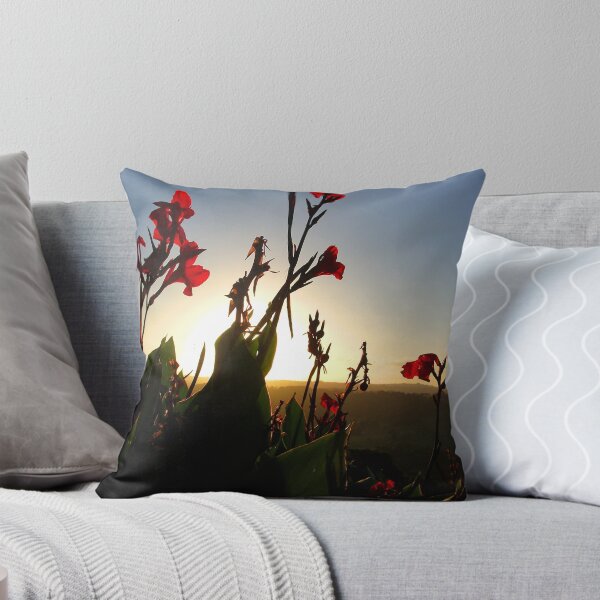 red sundown Throw Pillow