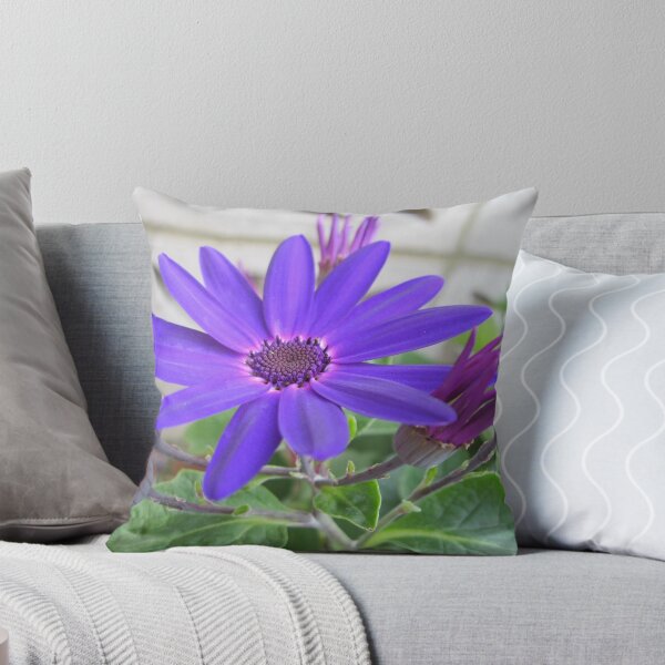 Artikelvorschau, Purple Cineraria entworfen und verkauft von BlueMoonRose.