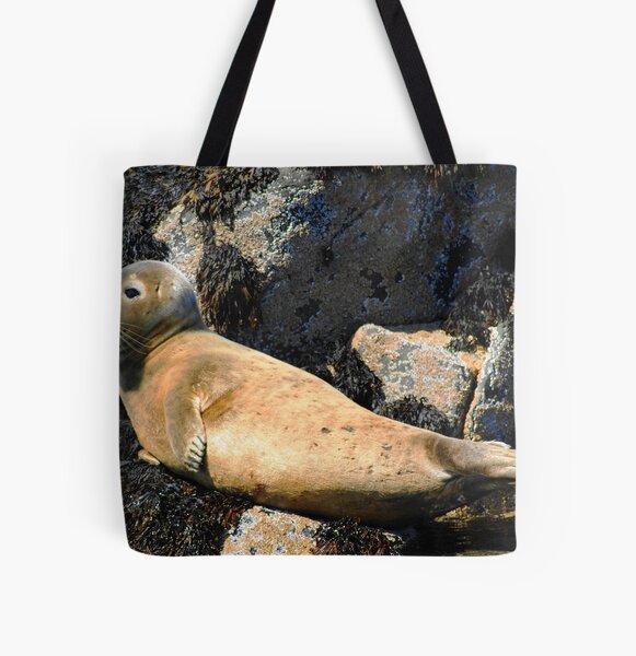 Item preview, Grey Seal Farne Islands Northumberland designed and sold by Roger Hall.