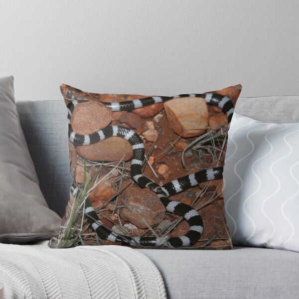 Item preview, Vermicella vermiformis_Ochre Pits area_NT designed and sold by tiliqua.