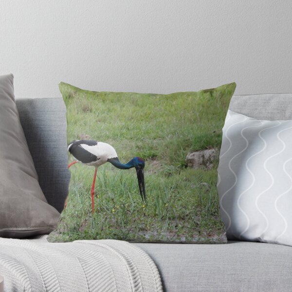 Artikelvorschau, Black-necked Stork (jabiru) - (Ephippiorhynchus asiaticus) entworfen und verkauft von Normf.