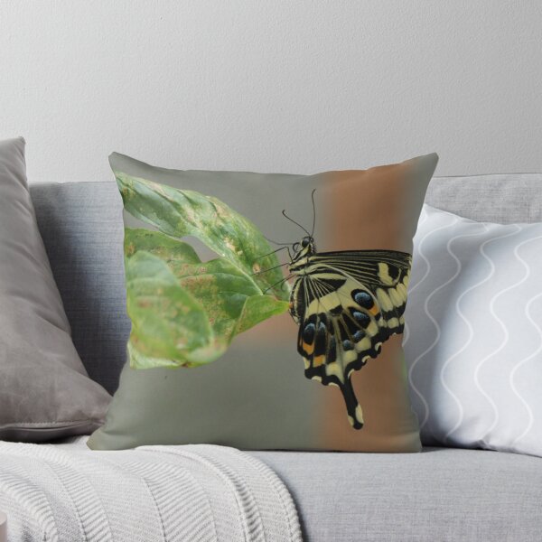 Item preview, swallow tail designed and sold by yampy.