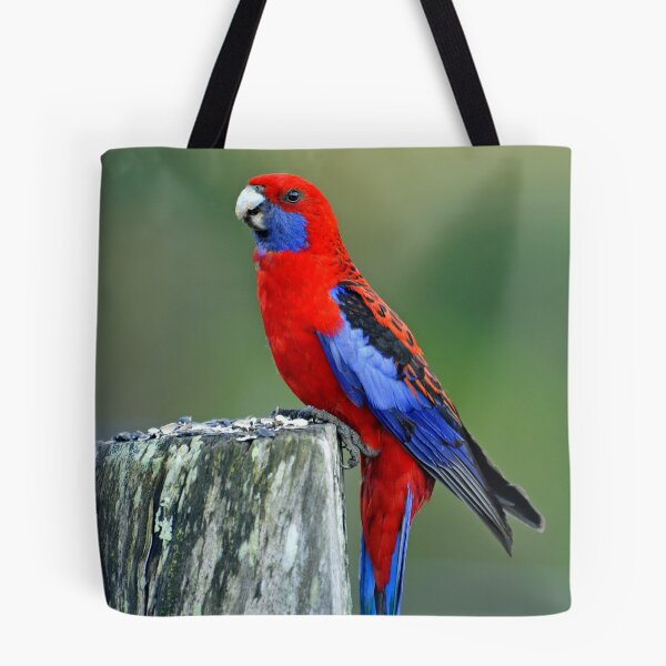 Item preview, Crimson Rosella. Brisbane, Queensland, Australia. (2) designed and sold by Ralph de Zilva.
