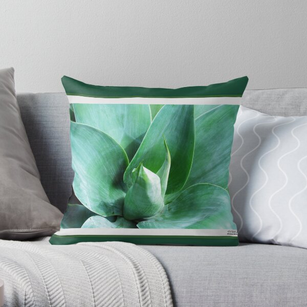 The Color of Future Throw Pillow