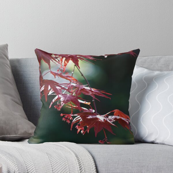 Item preview, Acer palmatum 'Atropurpureum' designed and sold by WatscapePhoto.