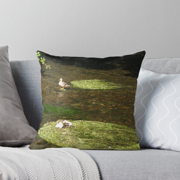 Item preview, Canterbury, ducks with chicks in a stream. designed and sold by Astrid de Cock.