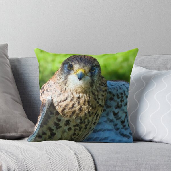 Item preview, Common Kestrel designed and sold by Dorset Girl.
