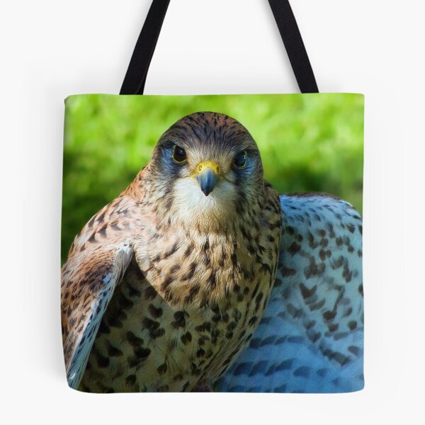 Item preview, Common Kestrel designed and sold by Dorset Girl.