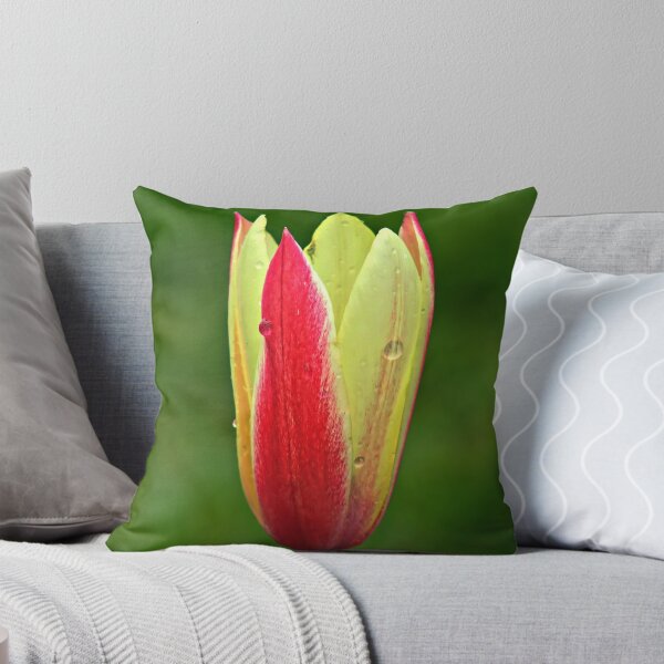 Item preview, I stand alone designed and sold by Kathy Yates.